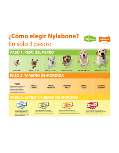 NYLABONE STRONG CHEW JUGUETE HUESO CONO RELLENABLE M 2