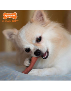 NYLABONE HUESO MORDEDORES EXTREMOS TOCINO TALLA S 2