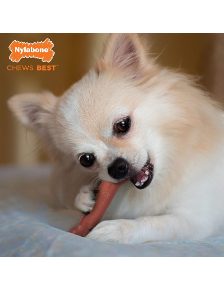 NYLABONE HUESO MORDEDORES EXTREMOS TOCINO TALLA S