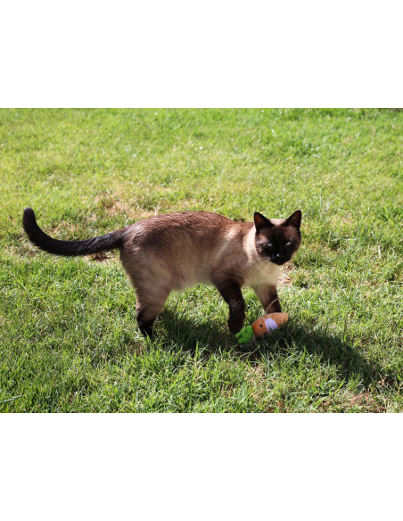 BRNX JUGUETE GATO MAXI ZANAHORIA 13 CM