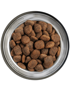 BELCANDO ADULT ACTIVE	22,5 KG 2