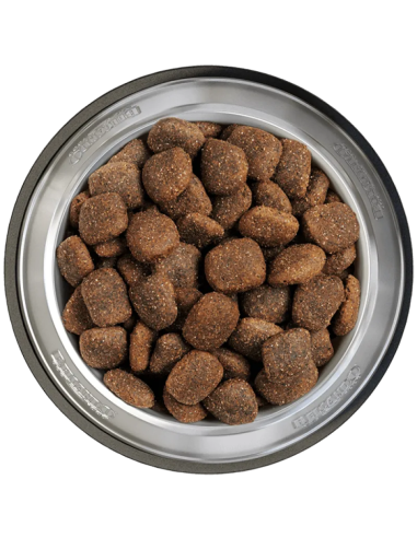 BELCANDO ADULT ACTIVE	22,5 KG