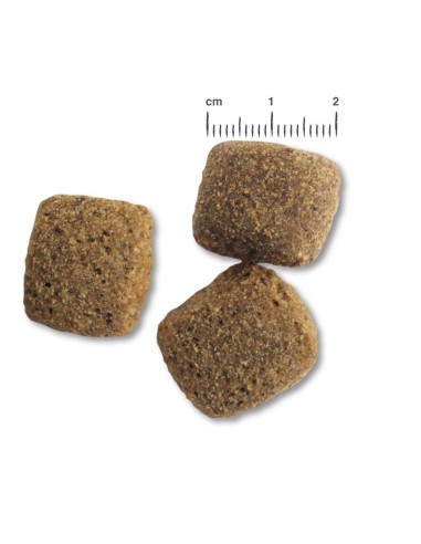 BELCANDO ADULT DINNER 12,5 KG