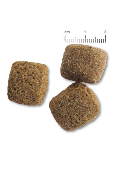 BELCANDO ADULT DINNER 12,5 KG