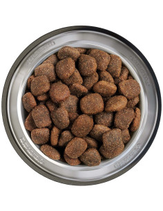 BELCANDO ADULT GF OCEAN 12,5 KG 2