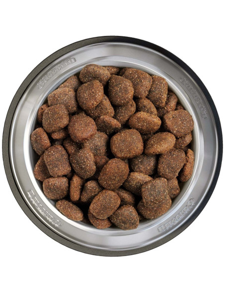 BELCANDO ADULT GF OCEAN 12,5 KG