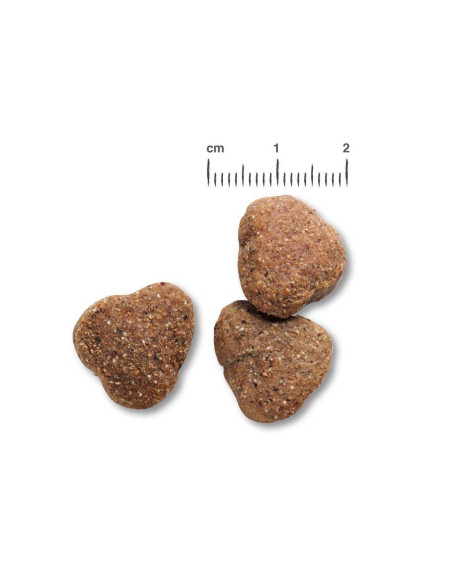 BELCANDO ADULT GF POULTRY 12,5 KG