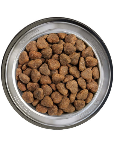 BELCANDO ADULT GF POULTRY 12,5 KG