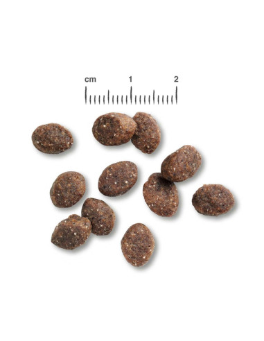 BELCANDO JUNIOR GF POULTRY 12,5 KG