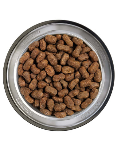 BELCANDO JUNIOR GF POULTRY 12,5 KG