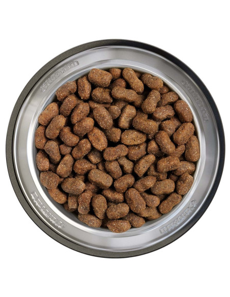 BELCANDO JUNIOR GF POULTRY 12,5 KG