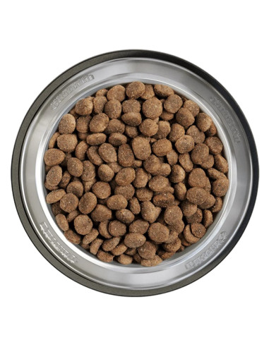 BELCANDO FINEST CROC 4 KG