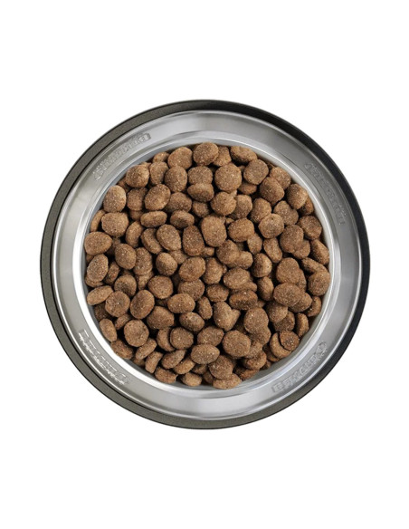 BELCANDO FINEST GF SENIOR 12,5 KG