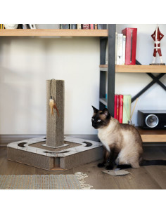 BRNX MAXI RASCADOR INTERACTIVO HORIZONTAL/VERTICAL