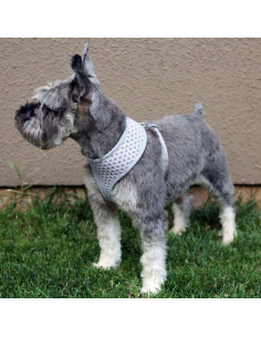 HEY! ARNÉS GRIS OUTDOOR RESPIRABLE PARA MASCOTAS TALLA M