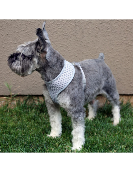 HEY! ARNÉS GRIS OUTDOOR RESPIRABLE PARA MASCOTAS TALLA M