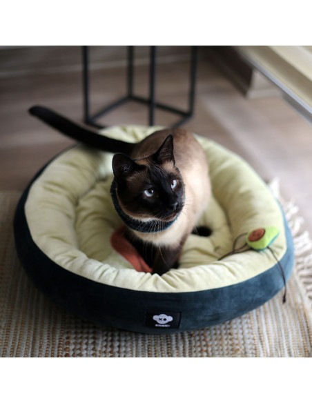 BRNX CAMA PALTA LOVER 64,5X48 CM
