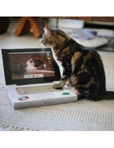 BRNX RASCADOR CATBOOK/COMPUTADOR