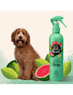 PET HEAD FURTASTIC SPRAY DESENREDANTE DE NUDOS 300 ML 2