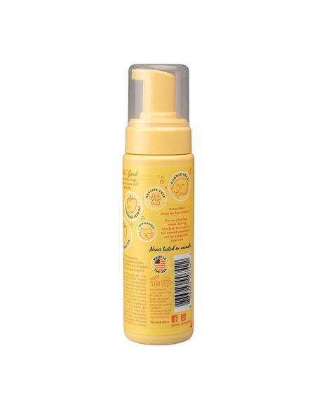 PET HEAD FELIN' GOOD SHAMPOO EN SECO PARA GATOS 200 ML