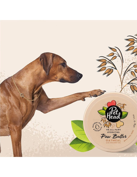 PET HEAD ON ALL PAWS MANTEQUILLA DE AVENA PARA PATAS 40 G