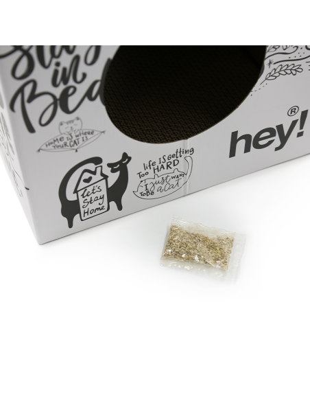HEY! RASCADOR JUGUETE MAXI CAJA DE LECHE GRAFFITI