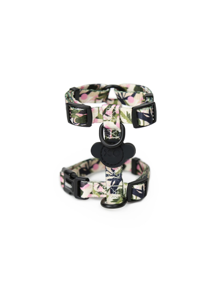 BRNX ARNES "H" S FOREST PINK