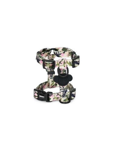 BRNX ARNES "H" S FOREST PINK