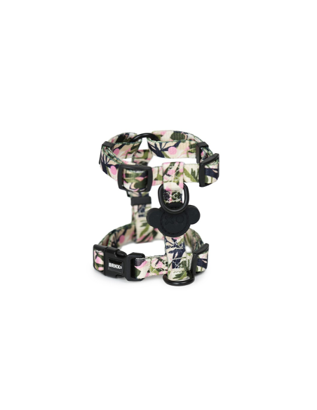 BRNX ARNES "H" S FOREST PINK