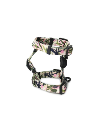 BRNX ARNES "H" S FOREST PINK