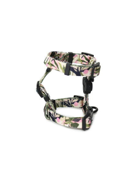 BRNX ARNES "H" S FOREST PINK