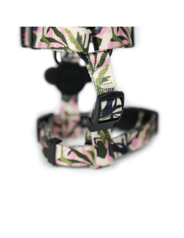 BRNX ARNES "H" S FOREST PINK