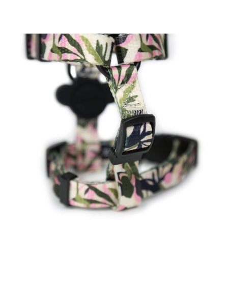 BRNX ARNES "H" S FOREST PINK