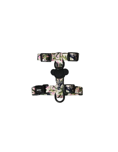 BRNX ARNES "H" S FOREST PINK