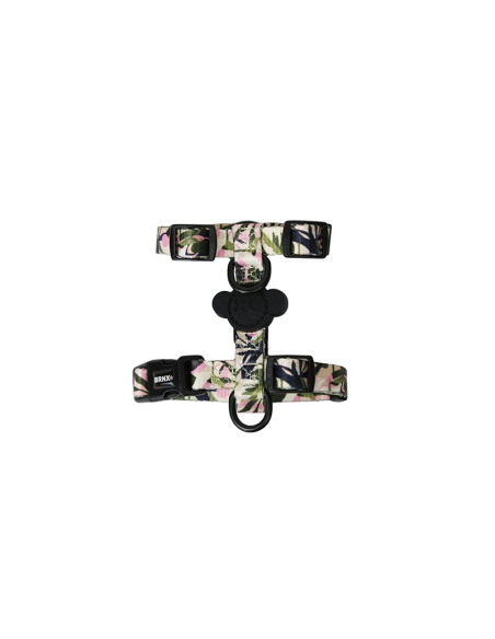 BRNX ARNES "H" S FOREST PINK
