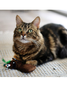 BRNX JUGUETE GATO MAXI TOY MAPACHE 18 CM 2