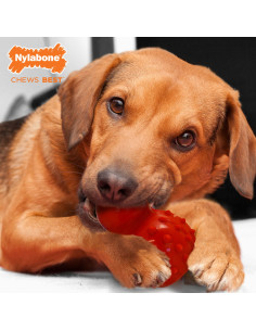 NYLABONE STRONG CHEW CONO 3 EN 1: RELLENABLE CONGELABLE SABOR TOCINO(TALLA L) 2