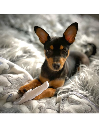 NYLABONE MORDEDORES EXTREMOS DISEÑO DINO TALLA XS