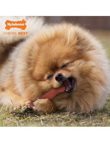 NYLABONE HUESO MORDEDORES EXTREMOS TOCINO TALLA S