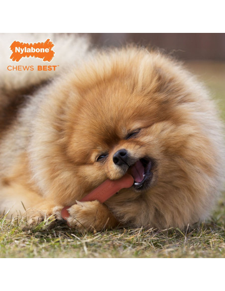 NYLABONE HUESO MORDEDORES EXTREMOS TOCINO TALLA S