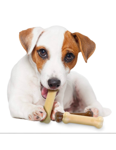 NYLABONE JUGUETE RESISTENCIA TRI-PACK