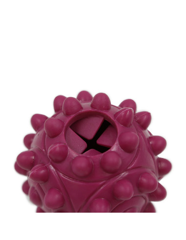 HEY! JUGUETE PELOTA MORADA PREMIOS 24 CM