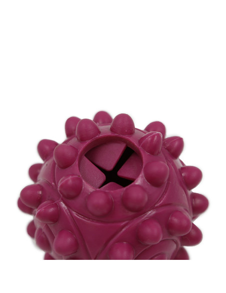 HEY! JUGUETE PELOTA MORADA PREMIOS 24 CM