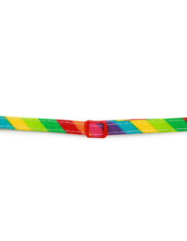 HEY! COLLAR GATOS ARCOIRIS 20-32 CM