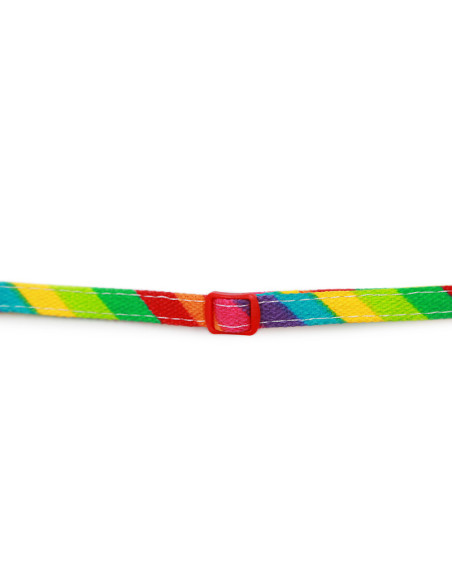 HEY! COLLAR GATOS ARCOIRIS 20-32 CM