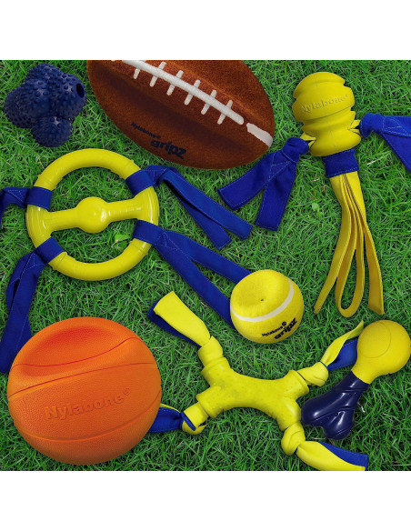 NYLABONE POWER PLAY LANZADOR DE GOMA FLING A BOUNCE