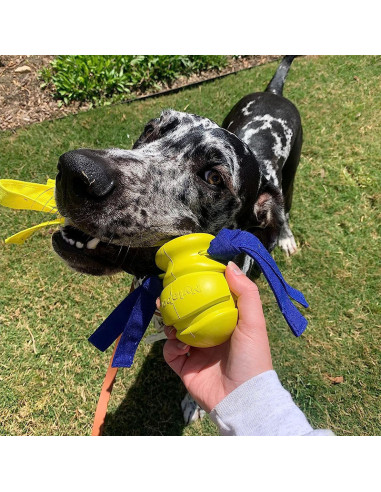 NYLABONE POWER PLAY LANZADOR DE GOMA FLING A BOUNCE