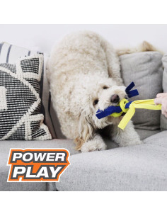 NYLABONE POWER PLAY LANZADOR DE GOMA FLING A BOUNCE 2