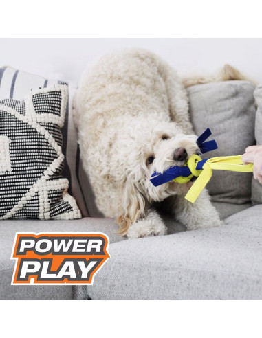 NYLABONE POWER PLAY LANZADOR DE GOMA FLING A BOUNCE