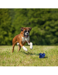 NYLABONE POWER PLAY LANZADOR DE GOMA CRAZY BALL TALLA L 2